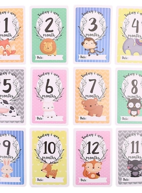 12 Sheet Milestone Photo Sharing Cards Gift Set Baby Age Car