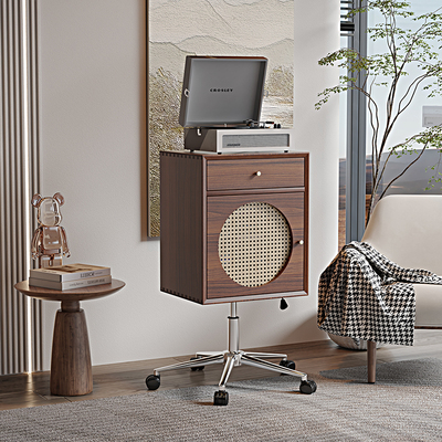 黑胶唱片柜实木床头柜