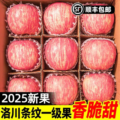 【顺丰到家】正宗陕西洛川苹果