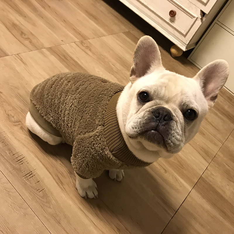 法斗巴哥宠物泰迪柯高领狗狗衣服