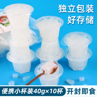 10杯椰汁果肉家用小包装 采集茶香椰果粒40g 便携果冻珍珠奶茶原料