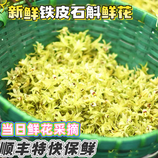 新鲜铁皮石斛鲜花顺丰包邮空运当日采摘发货供应酒店餐厅菜摊蔬菜