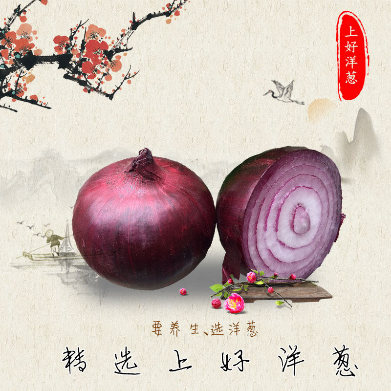 新鲜蔬菜东北特产农家自种老品种新鲜红紫圆葱毛葱洋葱5斤包邮