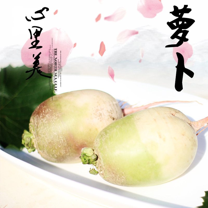 心里美萝卜新鲜蔬菜包邮红 萝卜新货东北农家自种满堂红5斤黑土地