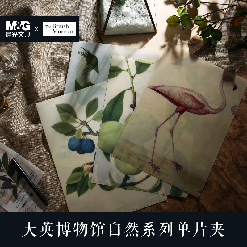 多款套装A4文件夹L型资料夹