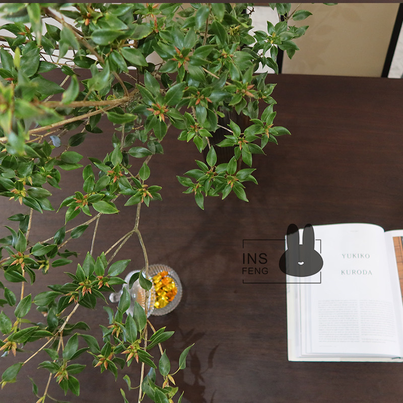 新品insfeng马银花鲜切枝条室内森林ins懒人类吊钟马醉木水培绿植