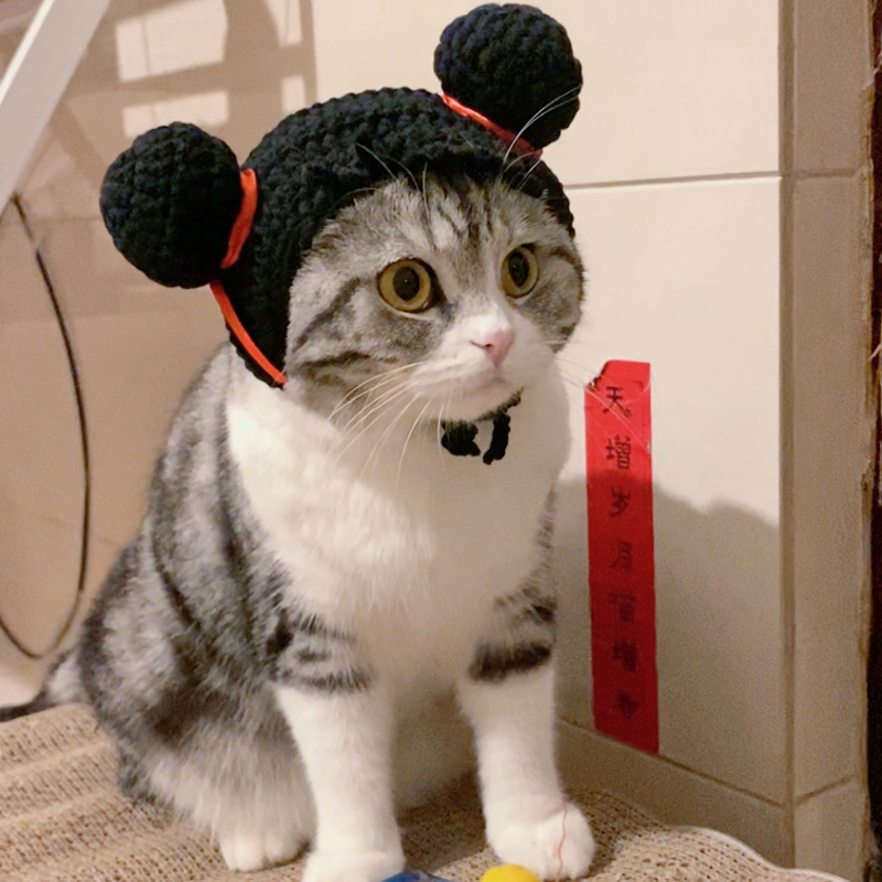 猫咪搞笑头套哪吒帽子功夫喵丸子头造型宠物可爱变装帽猫头饰新年-封面