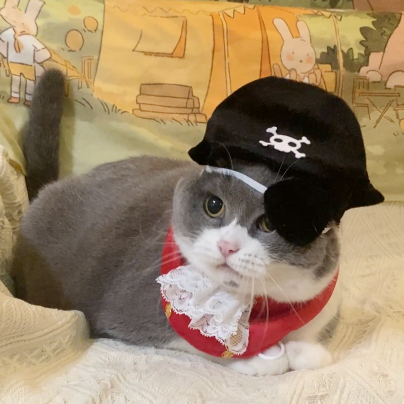 搞怪猫咪海盗帽子眼罩万圣节装扮