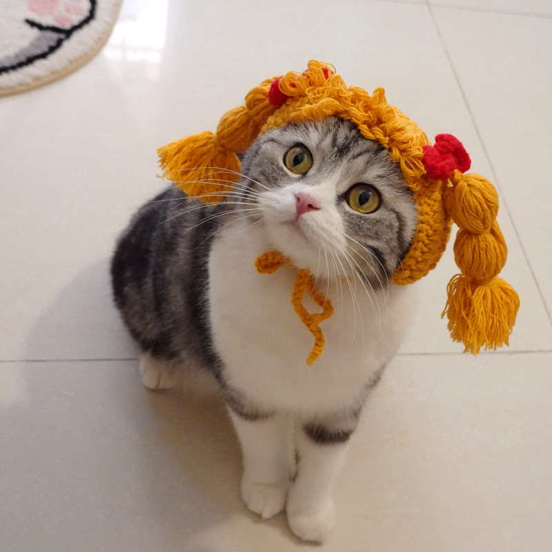 小刘海双麻花辫子头套可爱甜美猫咪帽子宠物变装帽英短美短猫头饰