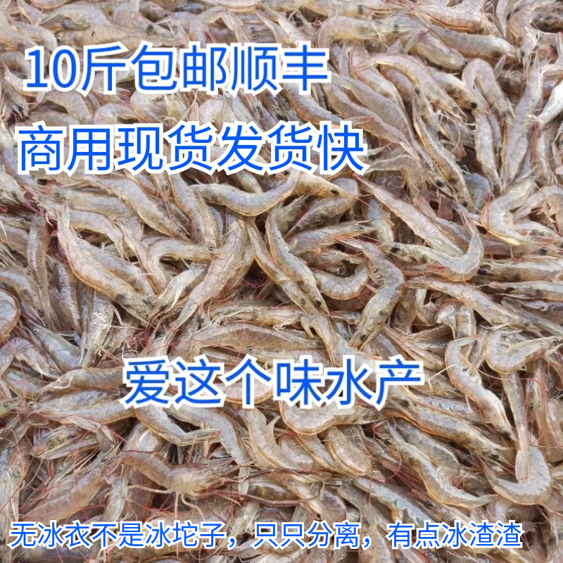 现货淡水小虾淡水养殖南美白对虾鲜活速冻新虾顺丰10斤