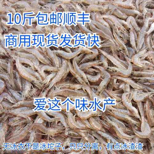 现货淡水小虾淡水养殖南美白对虾鲜活速冻新虾顺丰10斤