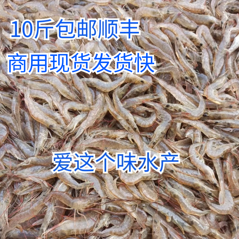 现货淡水小虾淡水养殖南美白对虾鲜活速冻新虾顺丰10斤