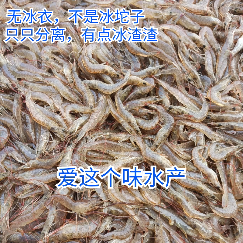 鲜活淡水顺丰发货鲜活速冻小虾图片