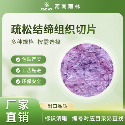 疏松结缔组织荧光切片生物实验