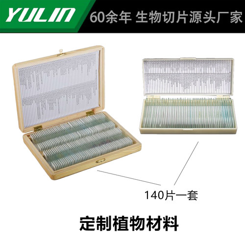 定制植物材料  显微镜标本切片套装科研观察实验高校教学示范