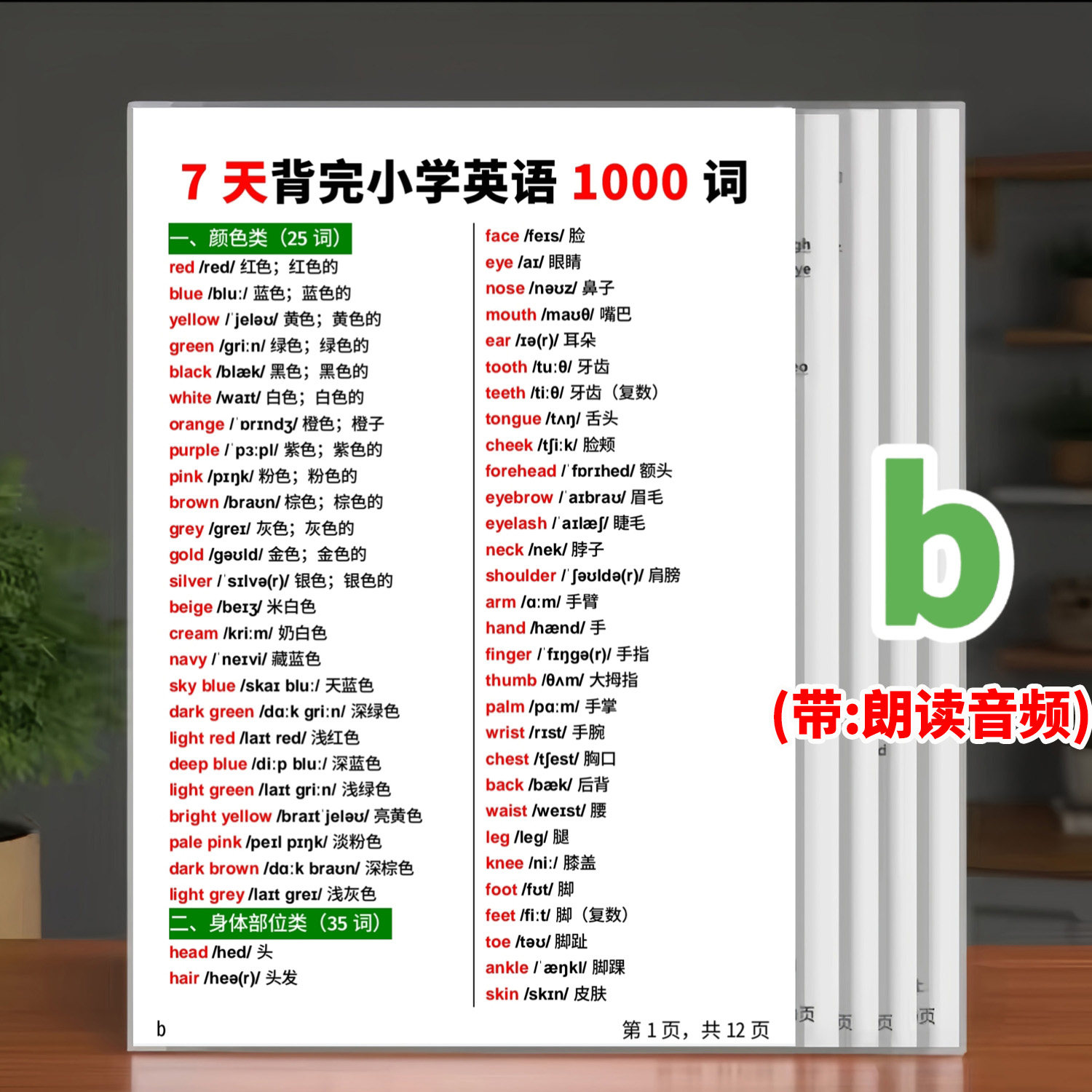 7天背完小学英语1000词单词分类短语语法知识点汇总塑封卡片闪卡