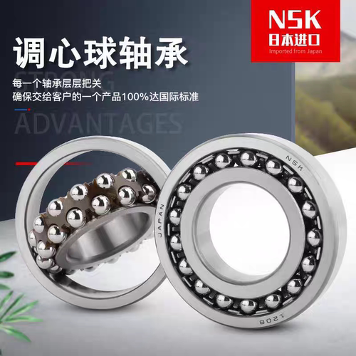 进口NSK 1200 1201 1202 1203 1204 1205 1206 1207K 调心球轴承
