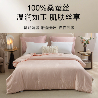 朗宴清风雅萃桑蚕丝冬被
