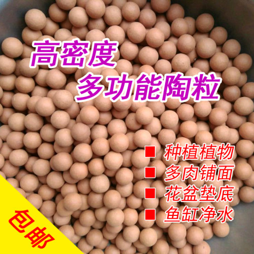 高密度种植多肉水培鱼缸花盆垫底