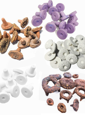 DW Aquarium SPS 纽扣 Coral Frag 紫色 珊瑚 繁殖断枝 底座 基座