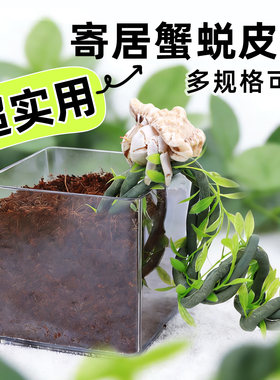 寄居蟹蜕皮桶套装多尺寸可选