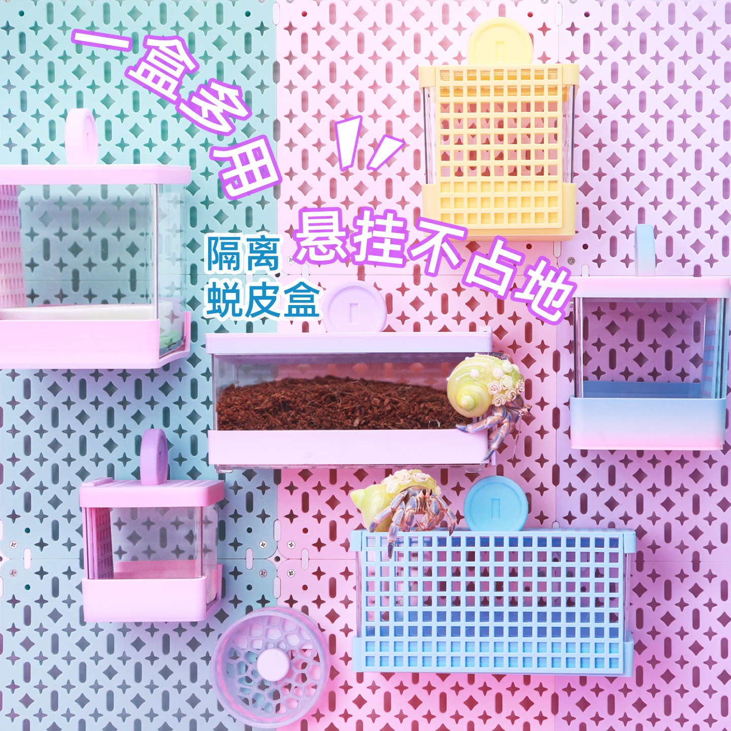 寄居蟹3D蜕皮桶隔离盒~活体宠物躲避大号小号多规格装饰蜕皮盒图片