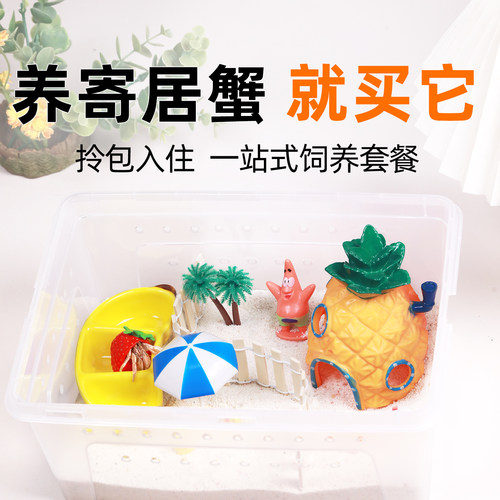 寄居蟹新手套餐套装饲养箱盒～饲养用品 套装桌面宠物 儿童礼物
