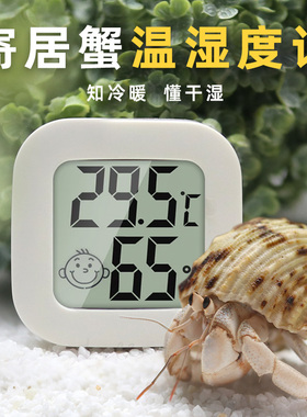 寄居蟹迷你温湿度计～小饲养盒适用家用精准高精度爬宠电子