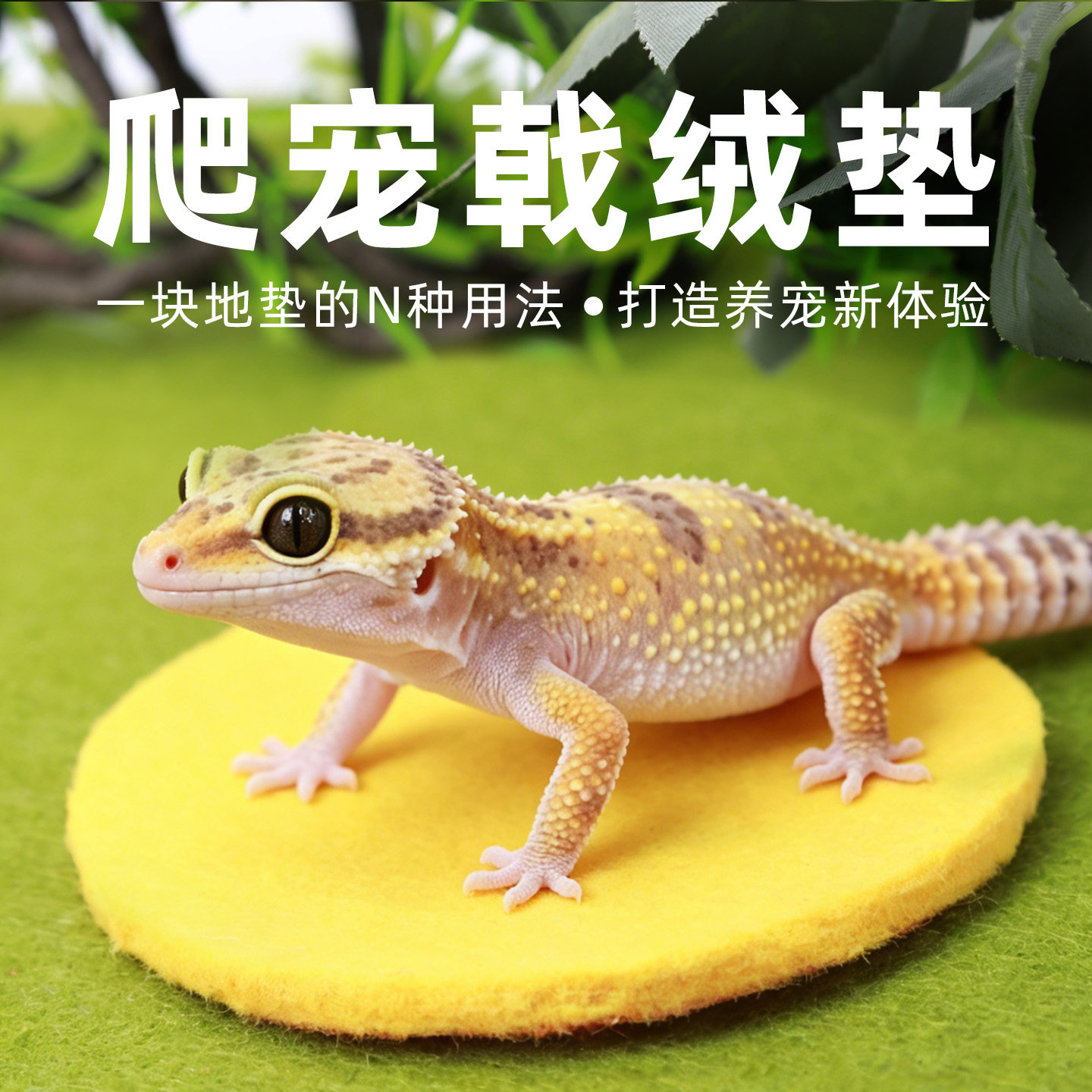 寄居蟹戟绒地垫～爬宠爬虫地毯垫材 多尺寸 多色可选 吸水可裁剪