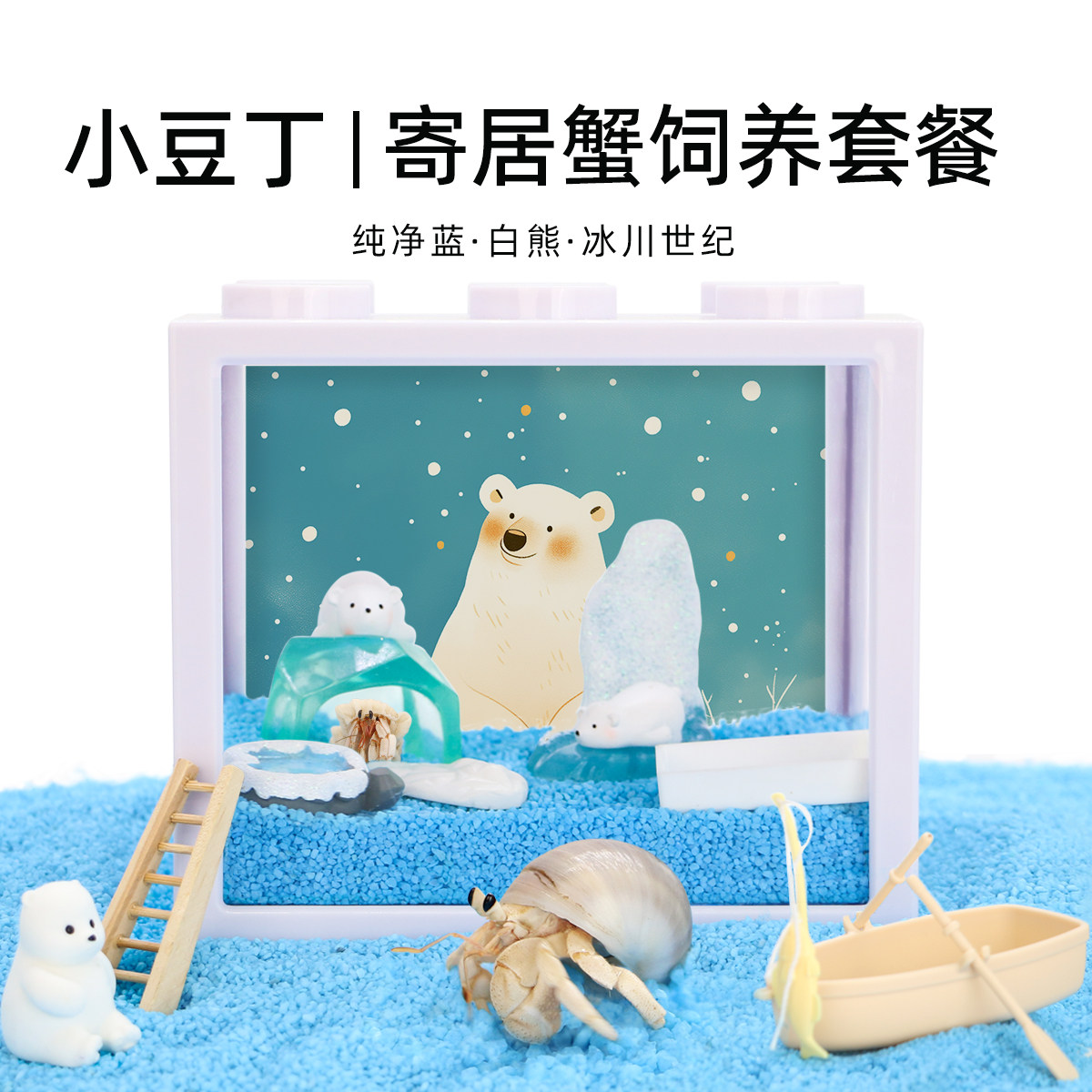 陌派可爱豆丁寄居蟹饲养套装套餐～饲养盒箱办公桌面萌宠儿童礼物