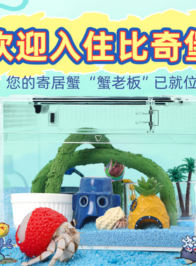 寄居蟹新手饲养套餐套装～不怕摔饲养盒箱比奇堡风格物