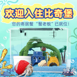 寄居蟹新手饲养套餐套装 物 ～不怕摔饲养盒箱比奇堡风格