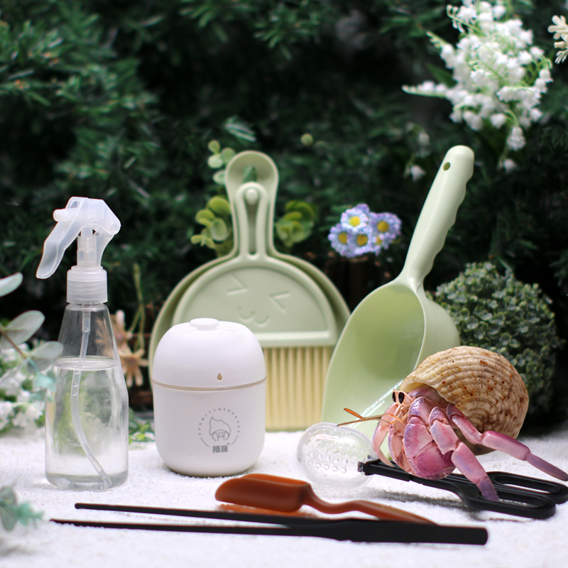 寄居蟹饲养清洁工具合集