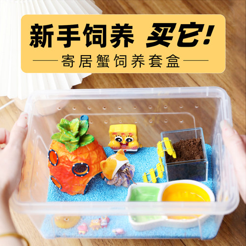 寄居蟹新手饲养箱套餐盒～饲养用品短腕灰白套装桌面宠物儿童礼物