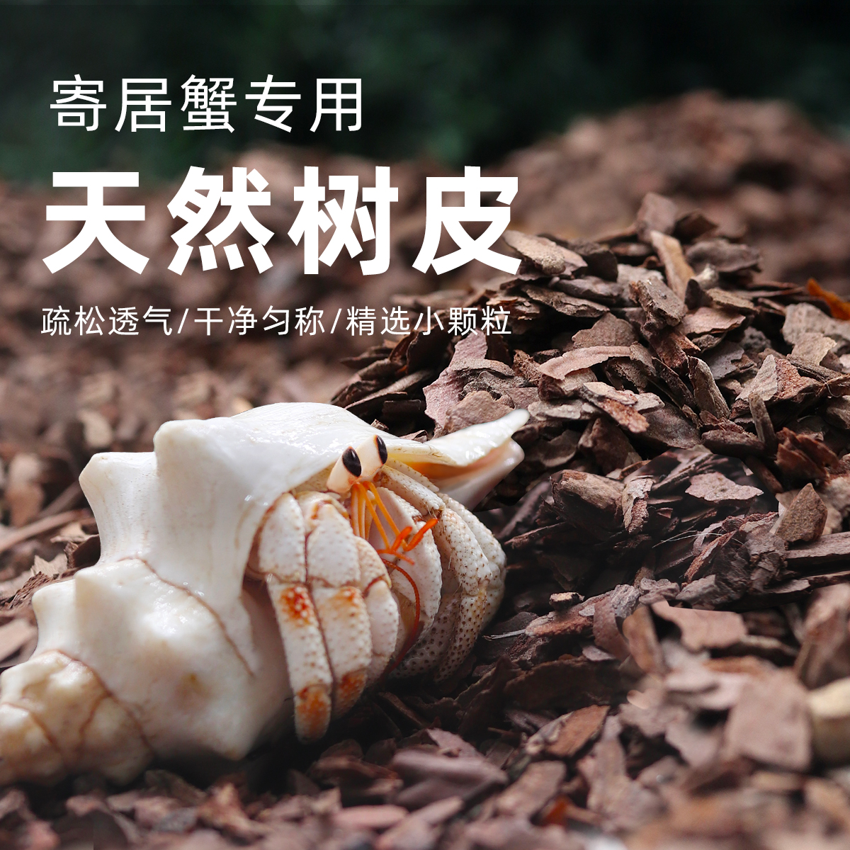 寄居蟹专用天然树皮垫材新手垫材