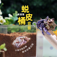 寄居蟹蜕皮桶套装～隔离盒套缸活体宠物躲避大号小号迷你多规格
