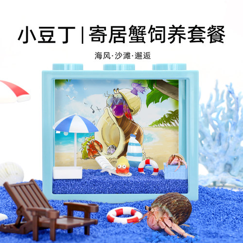豆丁寄居蟹饲养套餐桌面微景观
