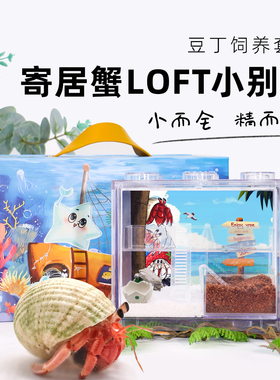 陌派豆丁寄居蟹新手饲养套餐套装～LOFT跃层小公寓积木盒桌面萌宠