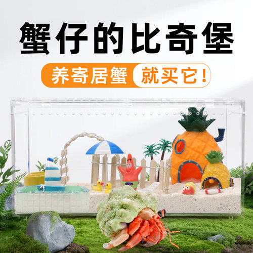 寄居蟹亚克力桌面鱼缸造景套装