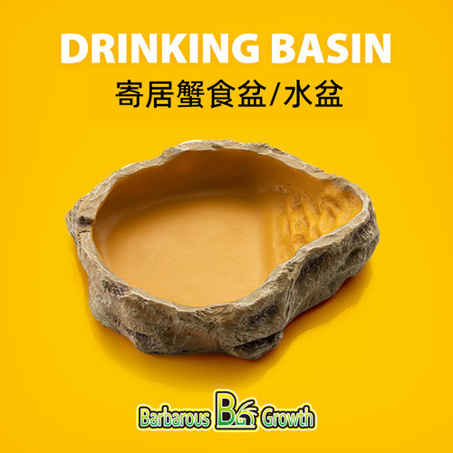 陌派寄居蟹食盆水盆爬宠喂食盆
