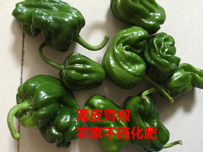 Nanjing Farm Fresh pepper green pepper Thin-skinned pepper Spicy Tiger Pepper Chili peppers picked nowin the Aquatic meat/Fresh fruits and vegetables/Cooked , Fresh vegetables/Vegetable products , Fresh vegetables , Other  category - from Buy2taobao.com to provide professional Taobao agent buy service