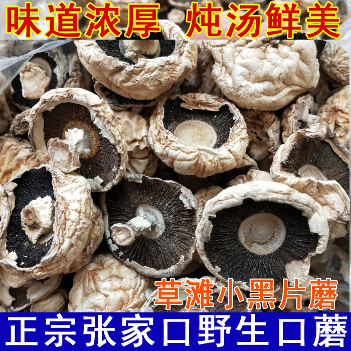 张家口口蘑草原白蘑菇 草滩小黑片野生蘑菇食用菌类干货 坝上特产