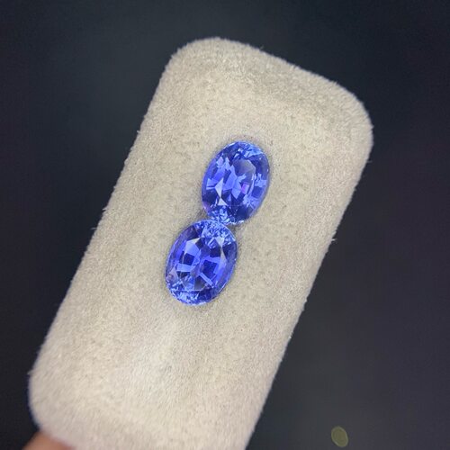 天然蓝宝石耳钉矢车菊蓝3.55克拉