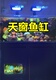 底滤双层鱼缸 定做 海水缸 创意缸 订做天窗鱼缸 意境鱼缸 底滤缸