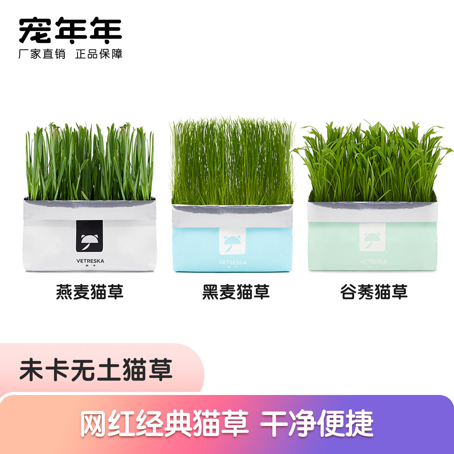 种子盆栽水培猫薄荷种植套装化毛 价格 多少钱 优惠券 优惠信息 购物没得比官网