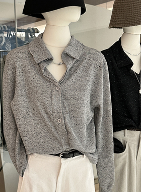 高智感穿搭点子纱针织衫女秋高级感简约气质翻领宽松长袖开衫上衣