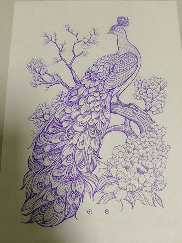 孔雀玉竹烙画烫画转印贴纸拓印图送一瓶十毫升转印油