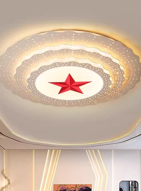定制党建室吸顶灯大会堂五角星灯大厅花型办公室会议室造型灯具