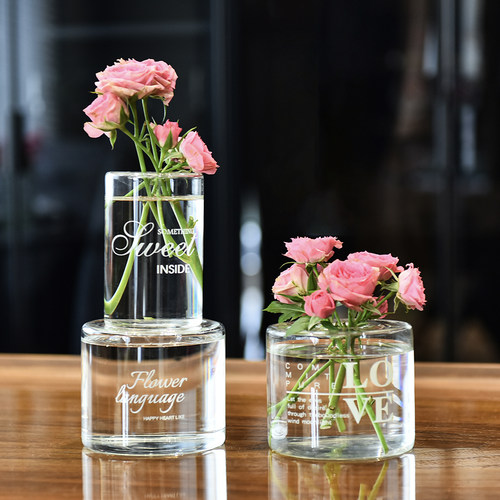 桌面摆件水培玻璃花瓶北欧