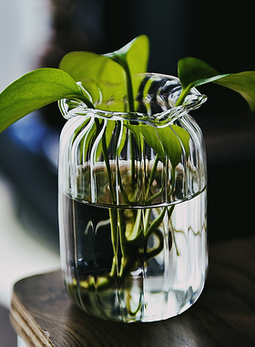 透明玻璃花瓶摆件桌面简约水养花瓶轻奢小花瓶干花鲜花细口插花瓶